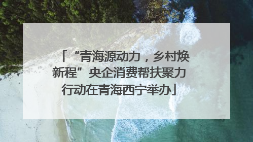 “青海源动力，乡村焕新程”央企消费帮扶聚力行动在青海西宁举办