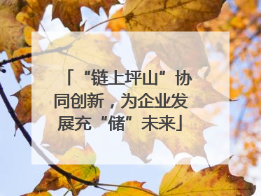 “链上坪山”协同创新，为企业发展充“储”未来
