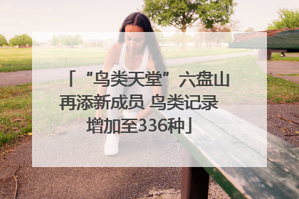 “鸟类天堂”六盘山再添新成员 鸟类记录增加至336种