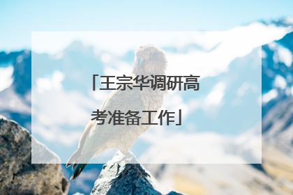 王宗华调研高考准备工作