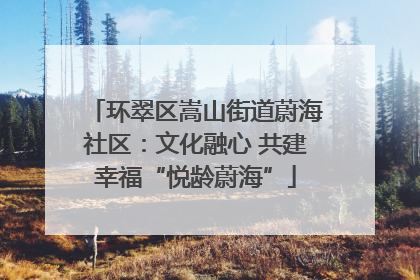 环翠区嵩山街道蔚海社区：文化融心 共建幸福“悦龄蔚海”