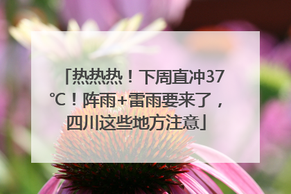 热热热！下周直冲37℃！阵雨+雷雨要来了，四川这些地方注意