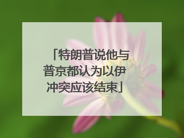 特朗普说他与普京都认为以伊冲突应该结束