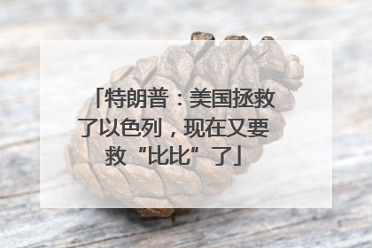 特朗普：美国拯救了以色列，现在又要救“比比”了