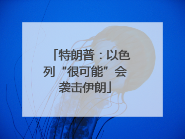 特朗普：以色列“很可能”会袭击伊朗