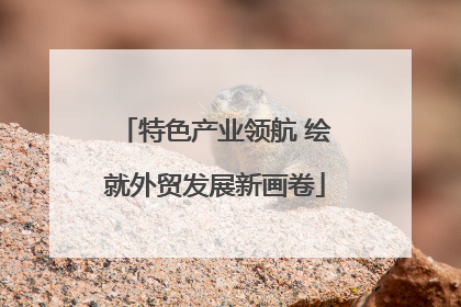 特色产业领航 绘就外贸发展新画卷