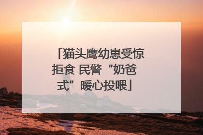 猫头鹰幼崽受惊拒食 民警“奶爸式”暖心投喂