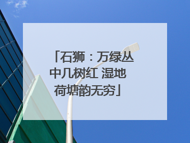石狮：万绿丛中几树红 湿地荷塘韵无穷