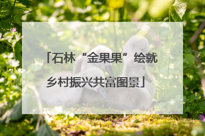 石林“金果果”绘就乡村振兴共富图景