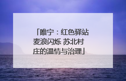 睢宁：红色驿站麦浪闪烁 苏北村庄的温情与治理