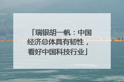 瑞银胡一帆：中国经济总体具有韧性，看好中国科技行业