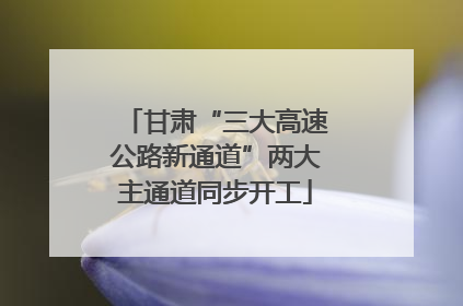 甘肃“三大高速公路新通道”两大主通道同步开工