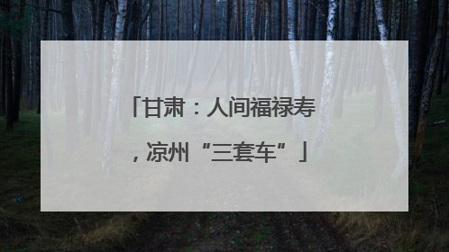 甘肃：人间福禄寿，凉州“三套车”