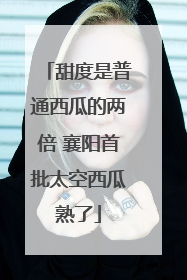 甜度是普通西瓜的两倍 襄阳首批太空西瓜熟了