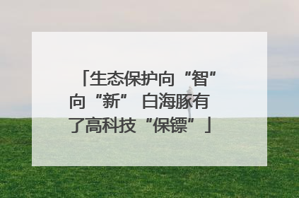 生态保护向“智”向“新” 白海豚有了高科技“保镖”