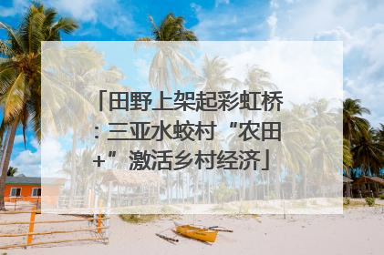田野上架起彩虹桥：三亚水蛟村“农田+”激活乡村经济