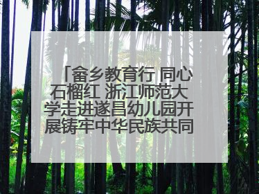 畲乡教育行 同心石榴红 浙江师范大学走进遂昌幼儿园开展铸牢中华民族共同体意识教育