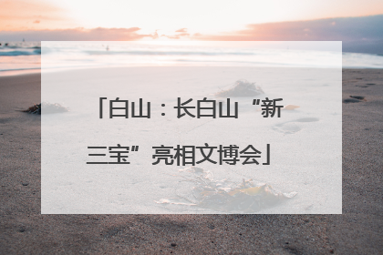 白山：长白山“新三宝”亮相文博会