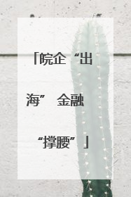 皖企“出海” 金融“撑腰”