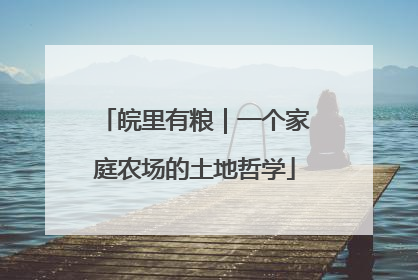皖里有粮｜一个家庭农场的土地哲学