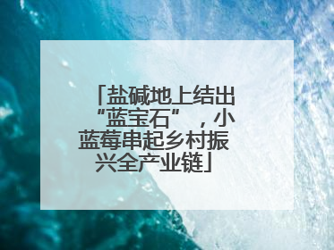 盐碱地上结出“蓝宝石”，小蓝莓串起乡村振兴全产业链