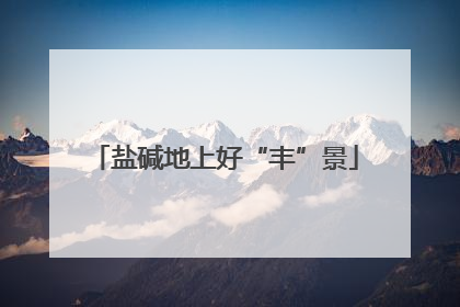 盐碱地上好“丰”景