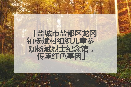 盐城市盐都区龙冈镇杨斌村组织儿童参观杨斌烈士纪念馆，传承红色基因