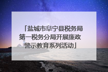 盐城市阜宁县税务局第一税务分局开展廉政警示教育系列活动