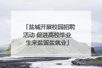 盐城开展校园招聘活动 促进高校毕业生来盐留盐就业