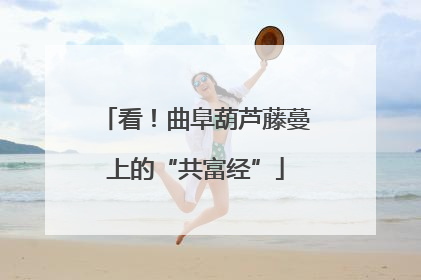 看！曲阜葫芦藤蔓上的“共富经”