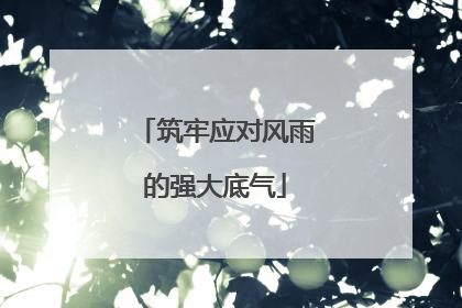 筑牢应对风雨的强大底气