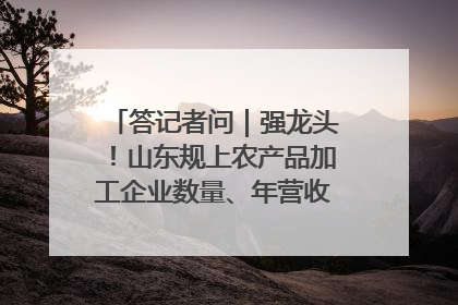 答记者问｜强龙头！山东规上农产品加工企业数量、年营收均居全国首位