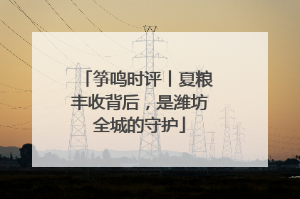 筝鸣时评丨夏粮丰收背后，是潍坊全城的守护