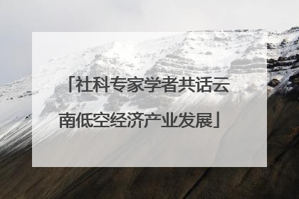 社科专家学者共话云南低空经济产业发展