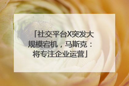 社交平台X突发大规模宕机，马斯克：将专注企业运营