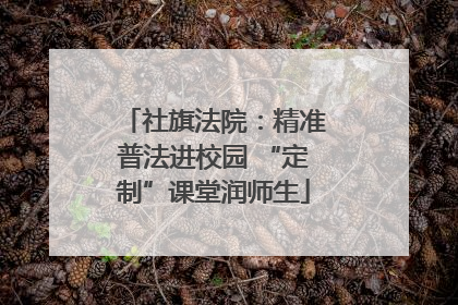 社旗法院：精准普法进校园 “定制”课堂润师生