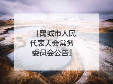 禹城市人民代表大会常务委员会公告