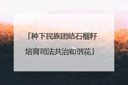 种下民族团结石榴籽 培育司法共治和谐花