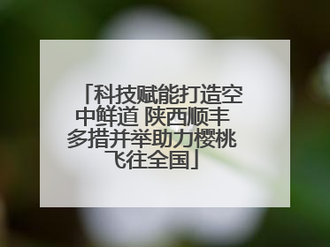 科技赋能打造空中鲜道 陕西顺丰多措并举助力樱桃飞往全国
