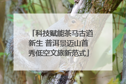 科技赋能茶马古道新生 普洱景迈山首秀低空文旅新范式
