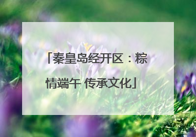 秦皇岛经开区：粽情端午 传承文化