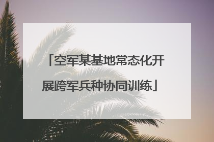 空军某基地常态化开展跨军兵种协同训练