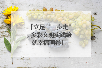 立足“三步走”，多彩文明实践绘就幸福画卷