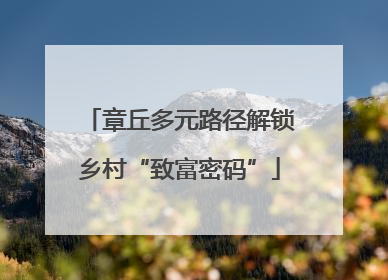 章丘多元路径解锁乡村“致富密码”