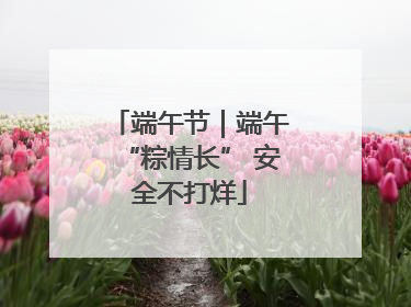 端午节｜端午“粽情长” 安全不打烊