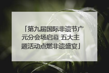 第九届国际非遗节广元分会场启幕 五大主题活动点燃非遗盛宴