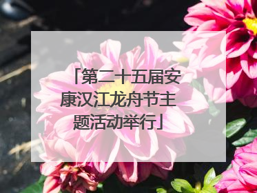 第二十五届安康汉江龙舟节主题活动举行