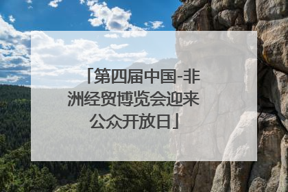 第四届中国-非洲经贸博览会迎来公众开放日