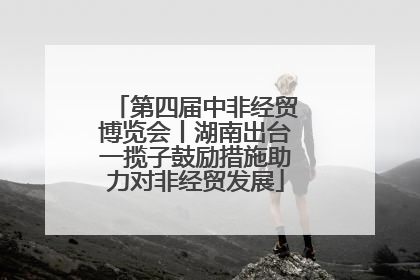 第四届中非经贸博览会丨湖南出台一揽子鼓励措施助力对非经贸发展