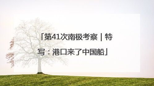 第41次南极考察｜特写：港口来了中国船